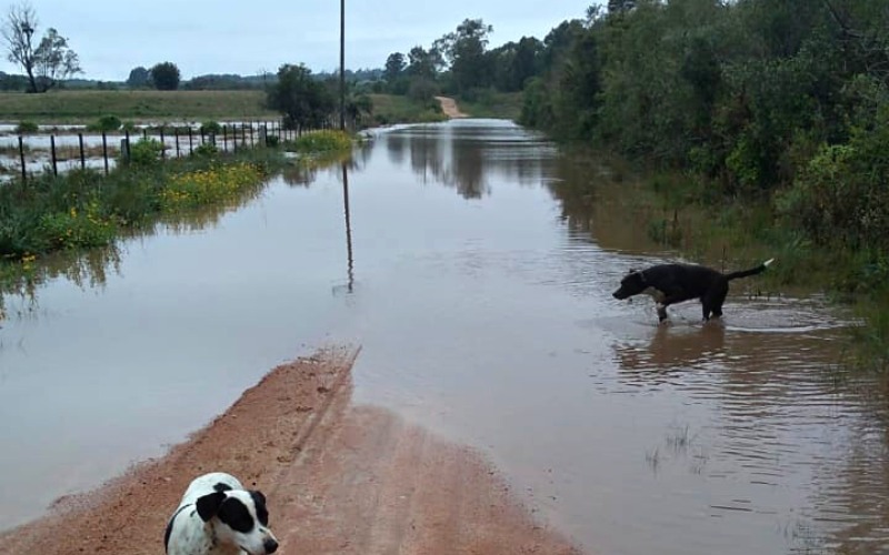 Trânsito interrompido em Santa Isabel