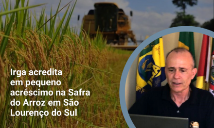 Irga acredita em pequeno acréscimo na Safra do Arroz em São Lourenço do Sul