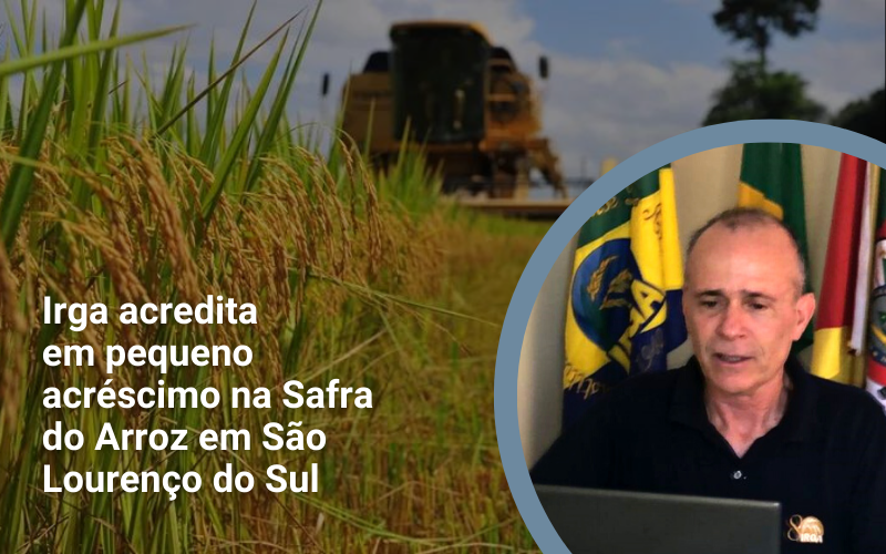 Irga acredita em pequeno acréscimo na Safra do Arroz em São Lourenço do Sul
